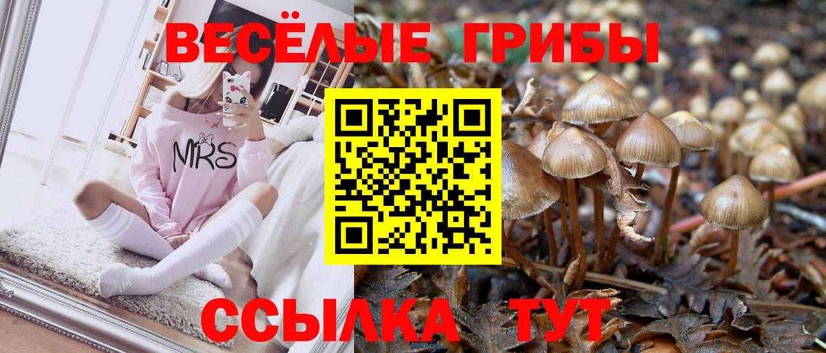 Чехов  Галлюциногенные грибы мухоморы  Вход с VPN  Галлюциногенные грибы ЛСД 