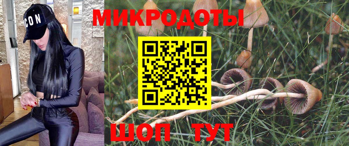 Псилоцибиновые грибы GOLDEN TEACHER Чехов